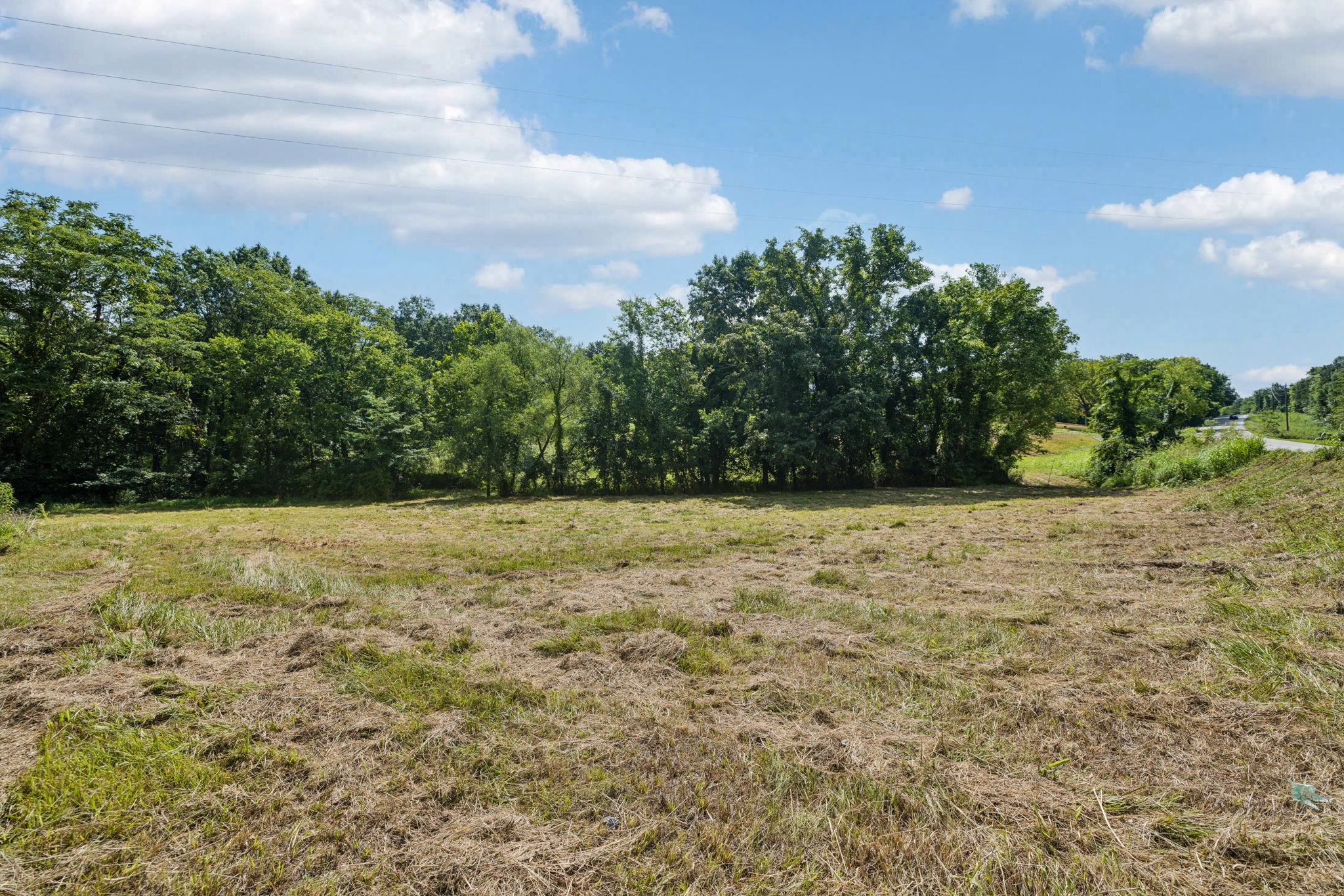 6456 Arno-College Grove Road College Grove, TN 37046 - Photo 11 of 39