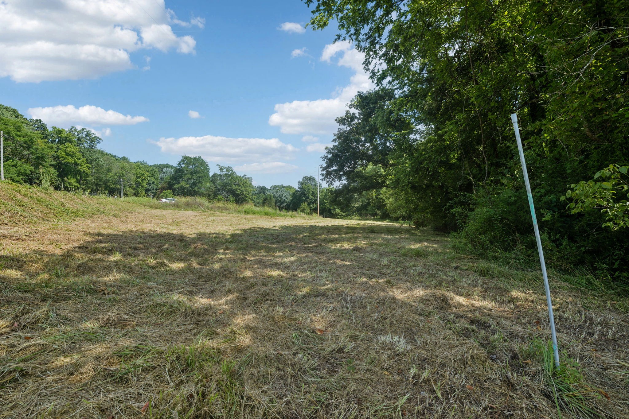 6456 Arno-College Grove Road College Grove, TN 37046 - Photo 12 of 39