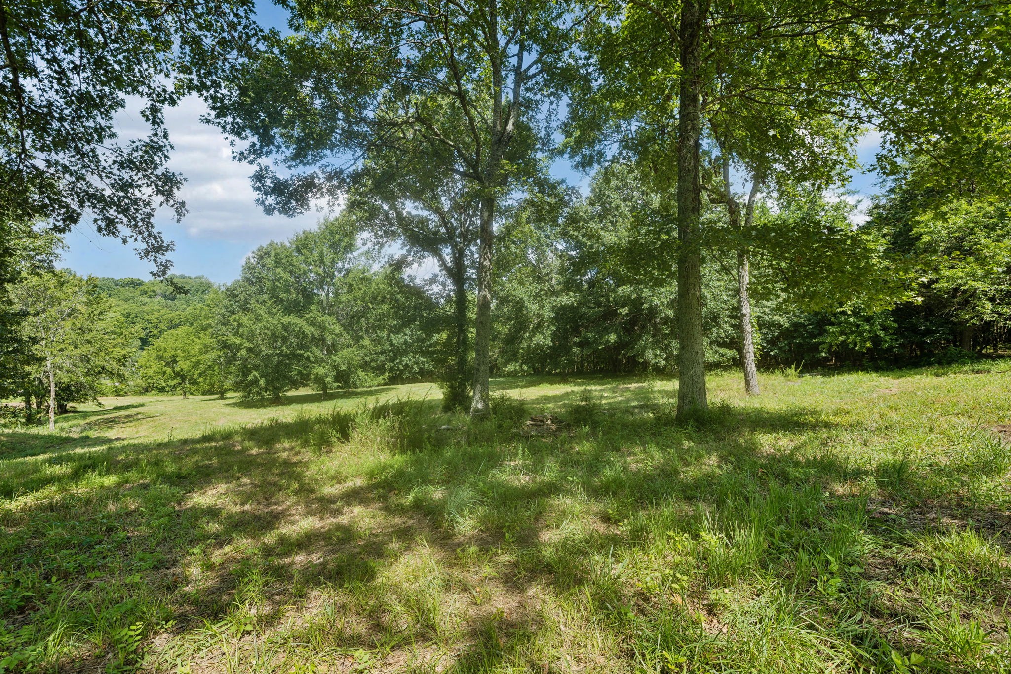 6456 Arno-College Grove Road College Grove, TN 37046 - Photo 15 of 39