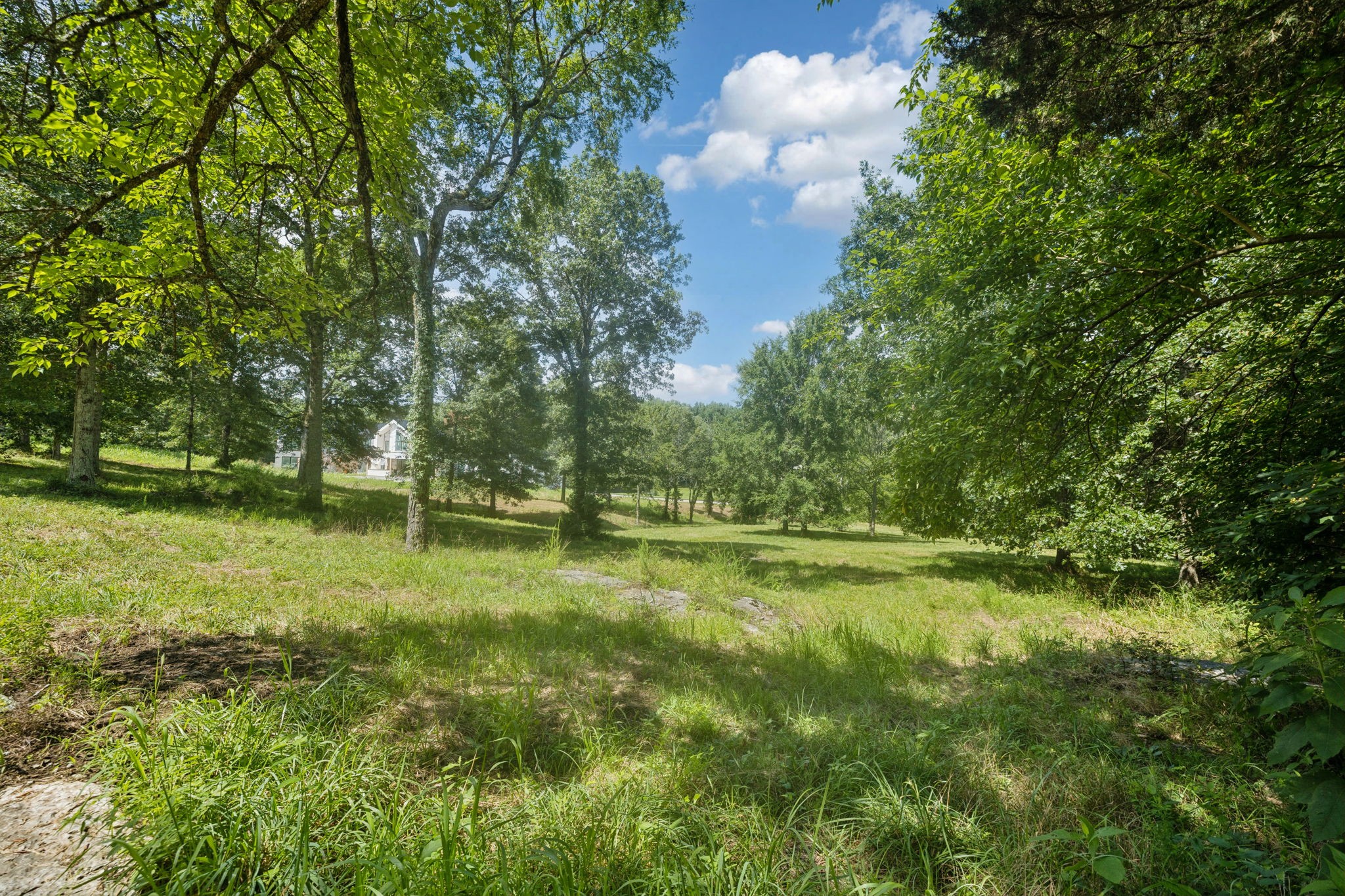 6456 Arno-College Grove Road College Grove, TN 37046 - Photo 16 of 39