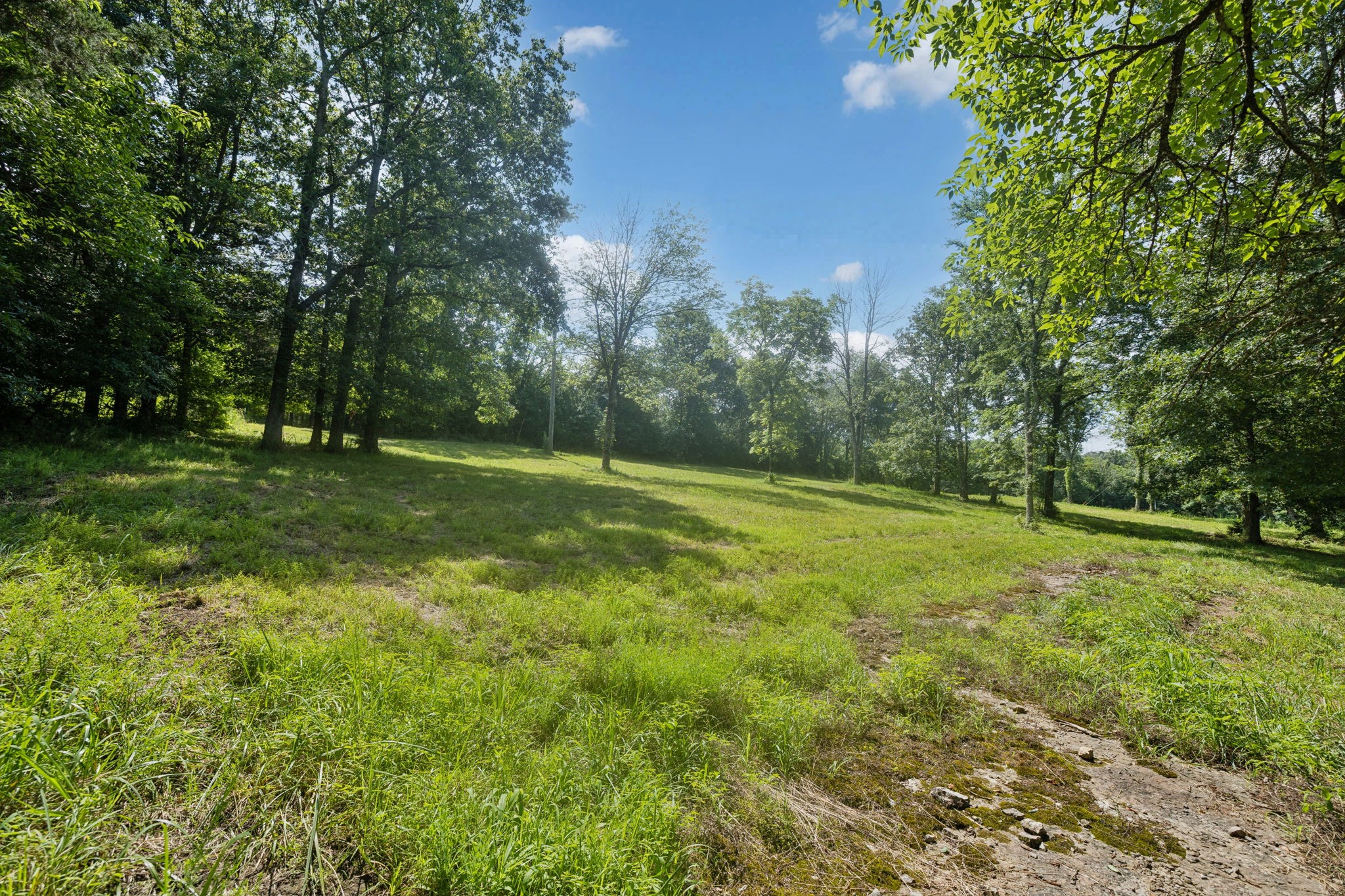 6456 Arno-College Grove Road College Grove, TN 37046 - Photo 17 of 39