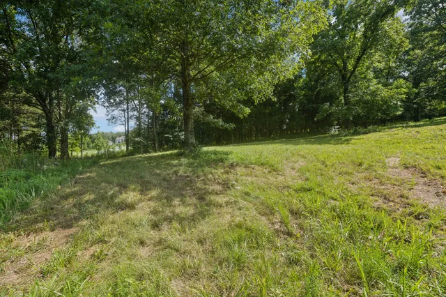 $925,000 | 6456 Arno-College Grove Road, College Grove, TN 37046