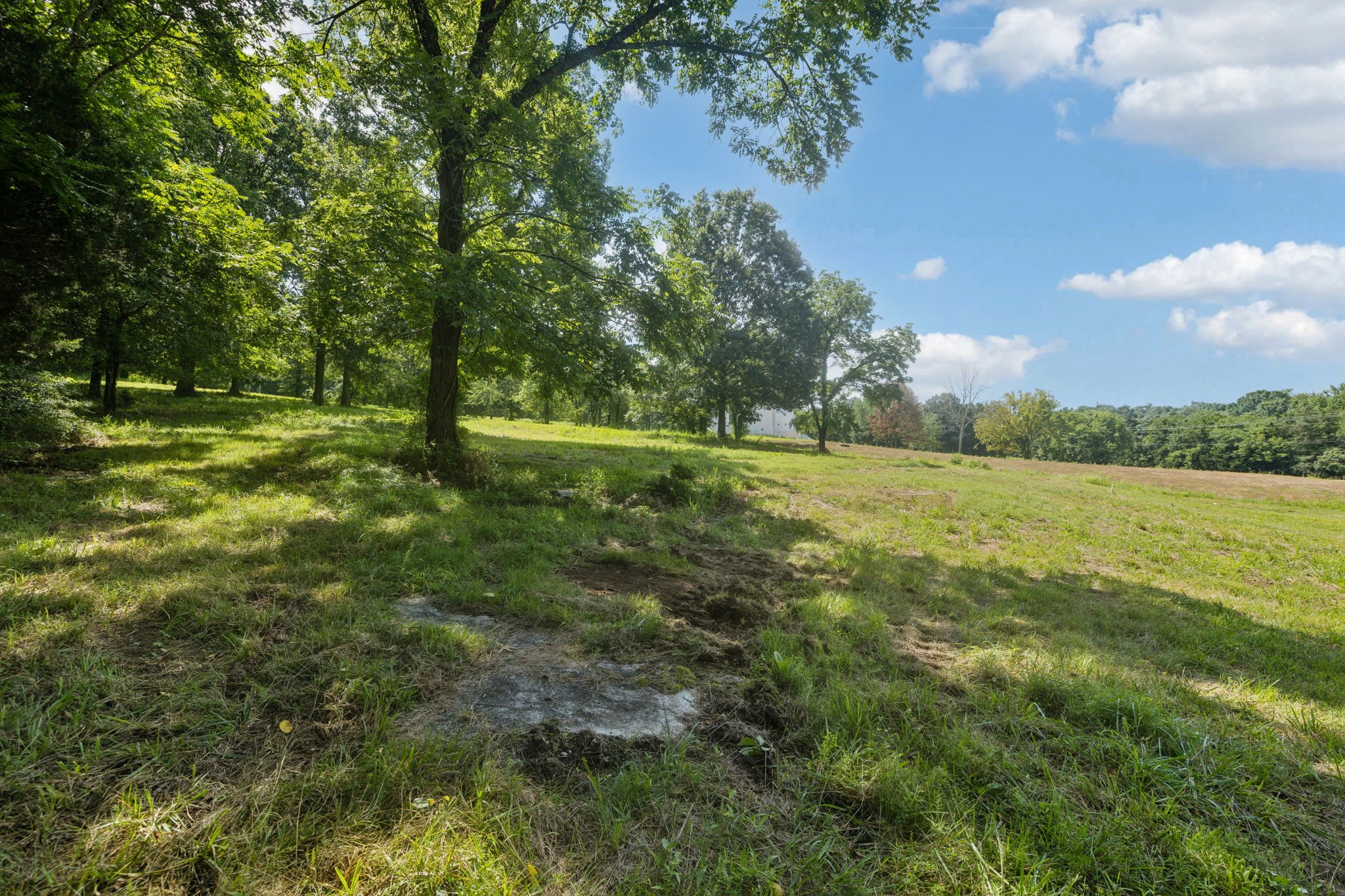 6456 Arno-College Grove Road College Grove, TN 37046 - Photo 20 of 39