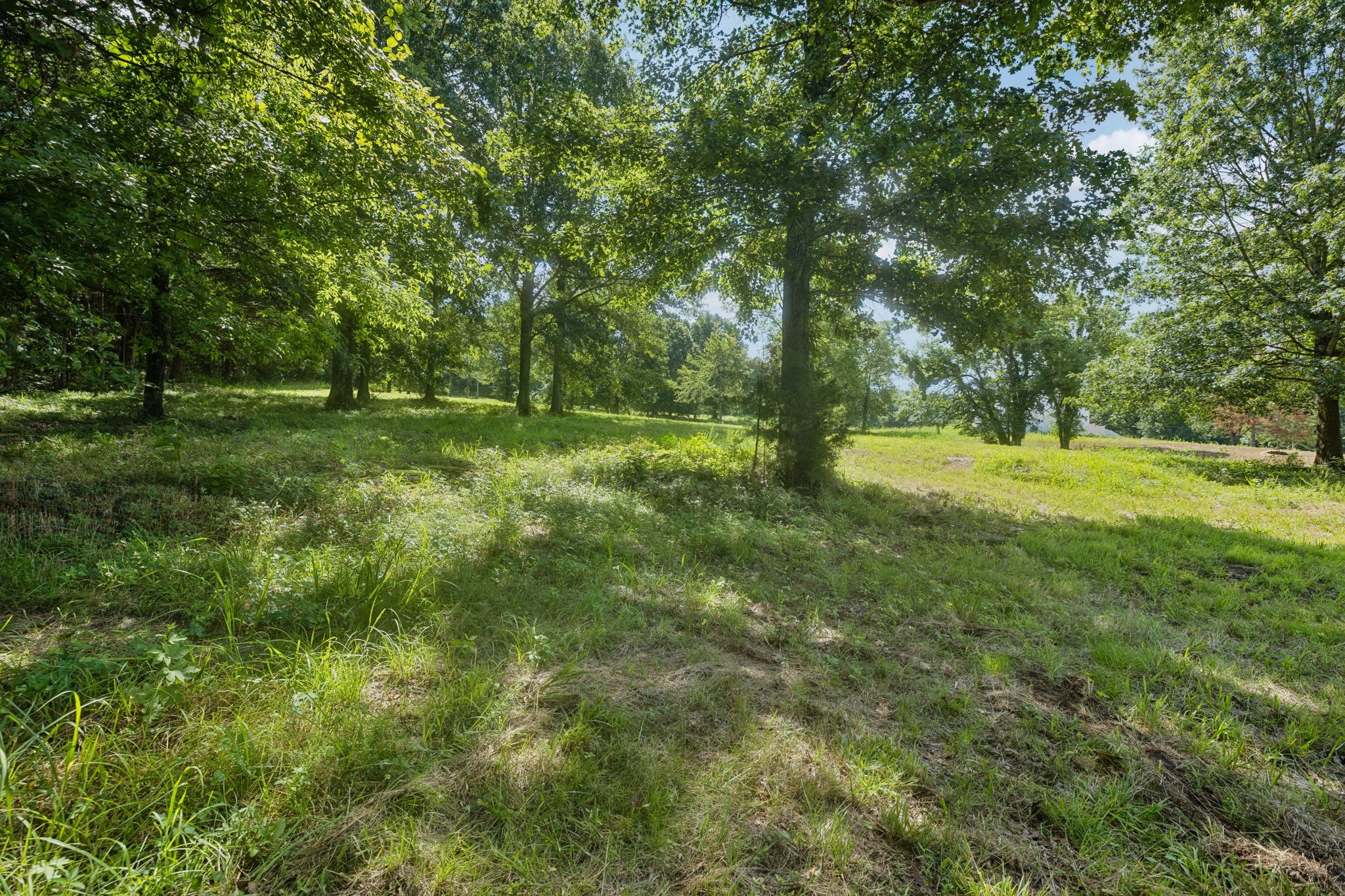 6456 Arno-College Grove Road College Grove, TN 37046 - Photo 22 of 39