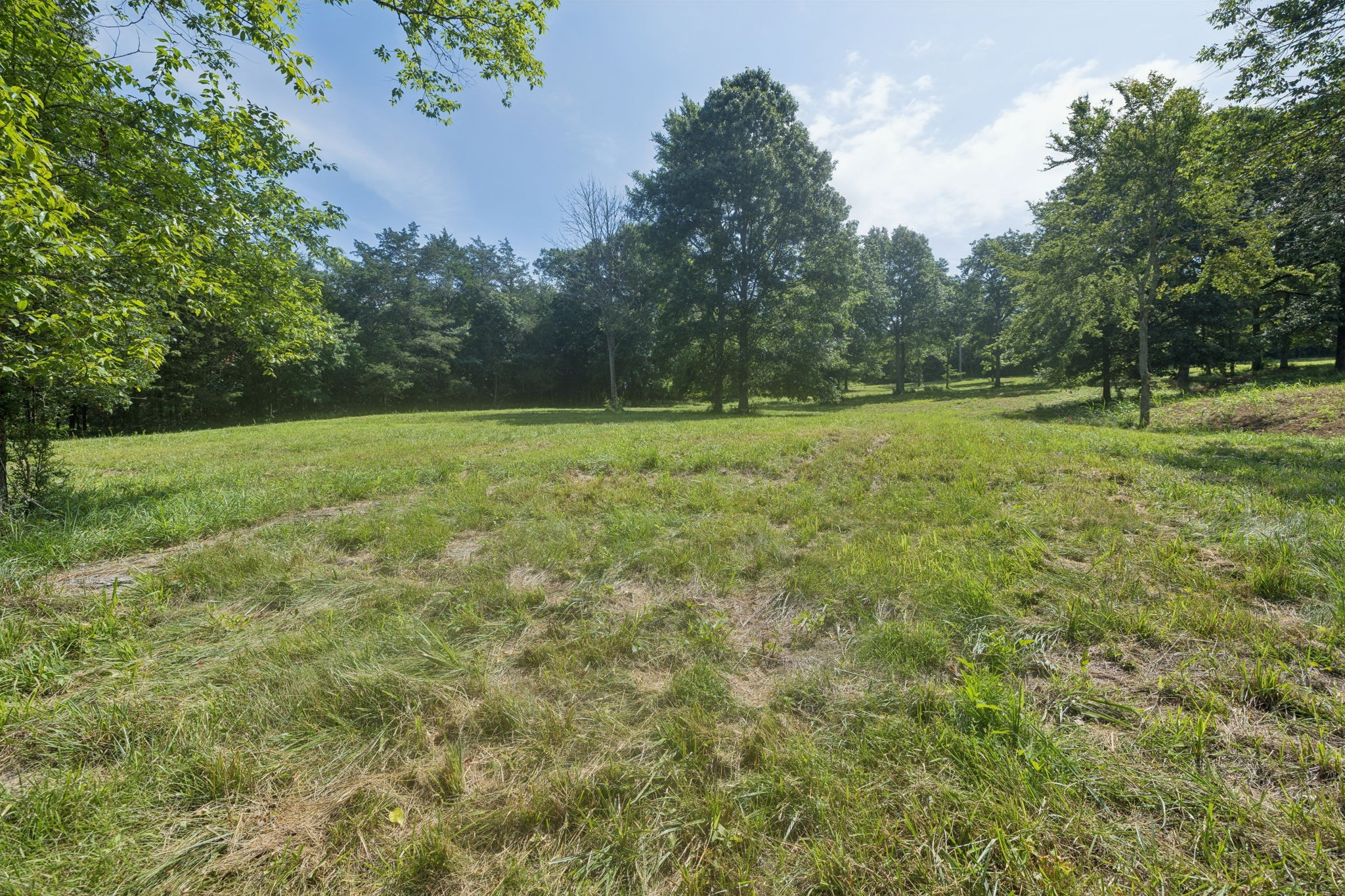 6456 Arno-College Grove Road College Grove, TN 37046 - Photo 23 of 39