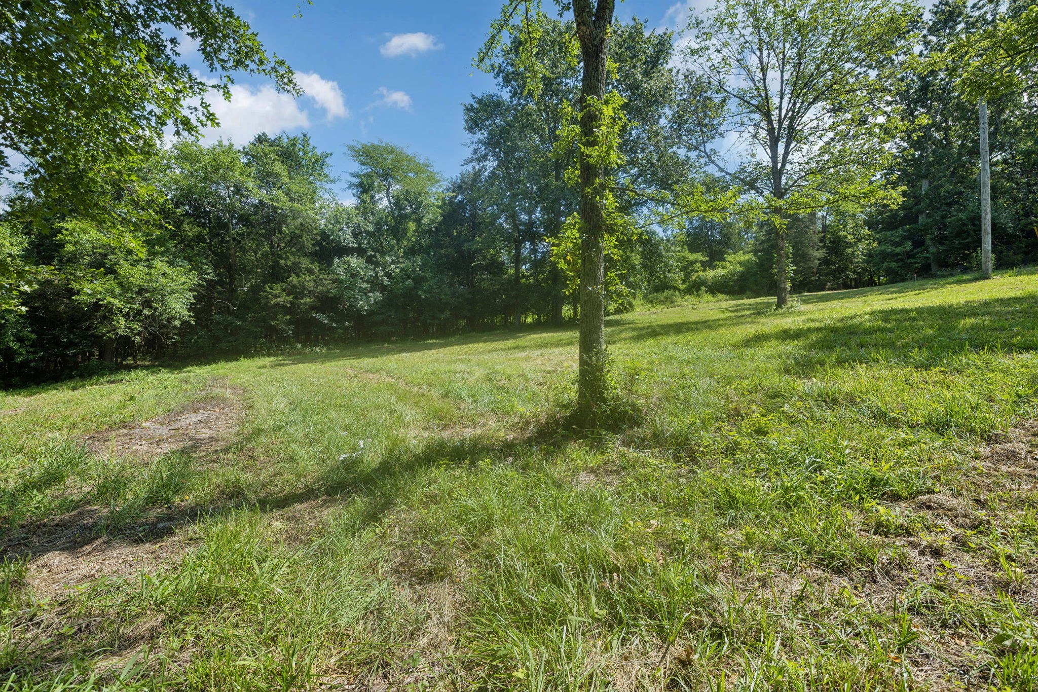 6456 Arno-College Grove Road College Grove, TN 37046 - Photo 26 of 39