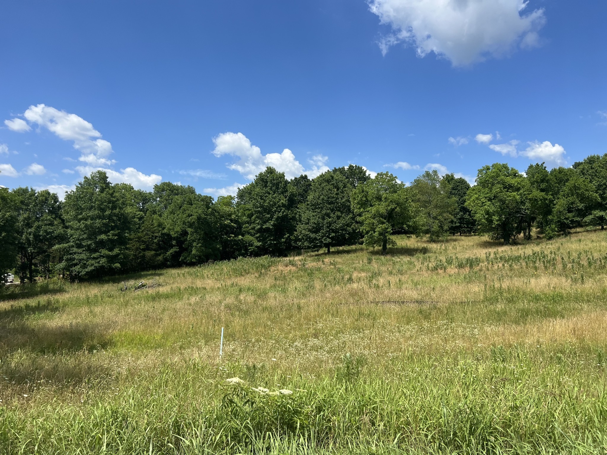 6456 Arno-College Grove Road College Grove, TN 37046 - Photo 27 of 39