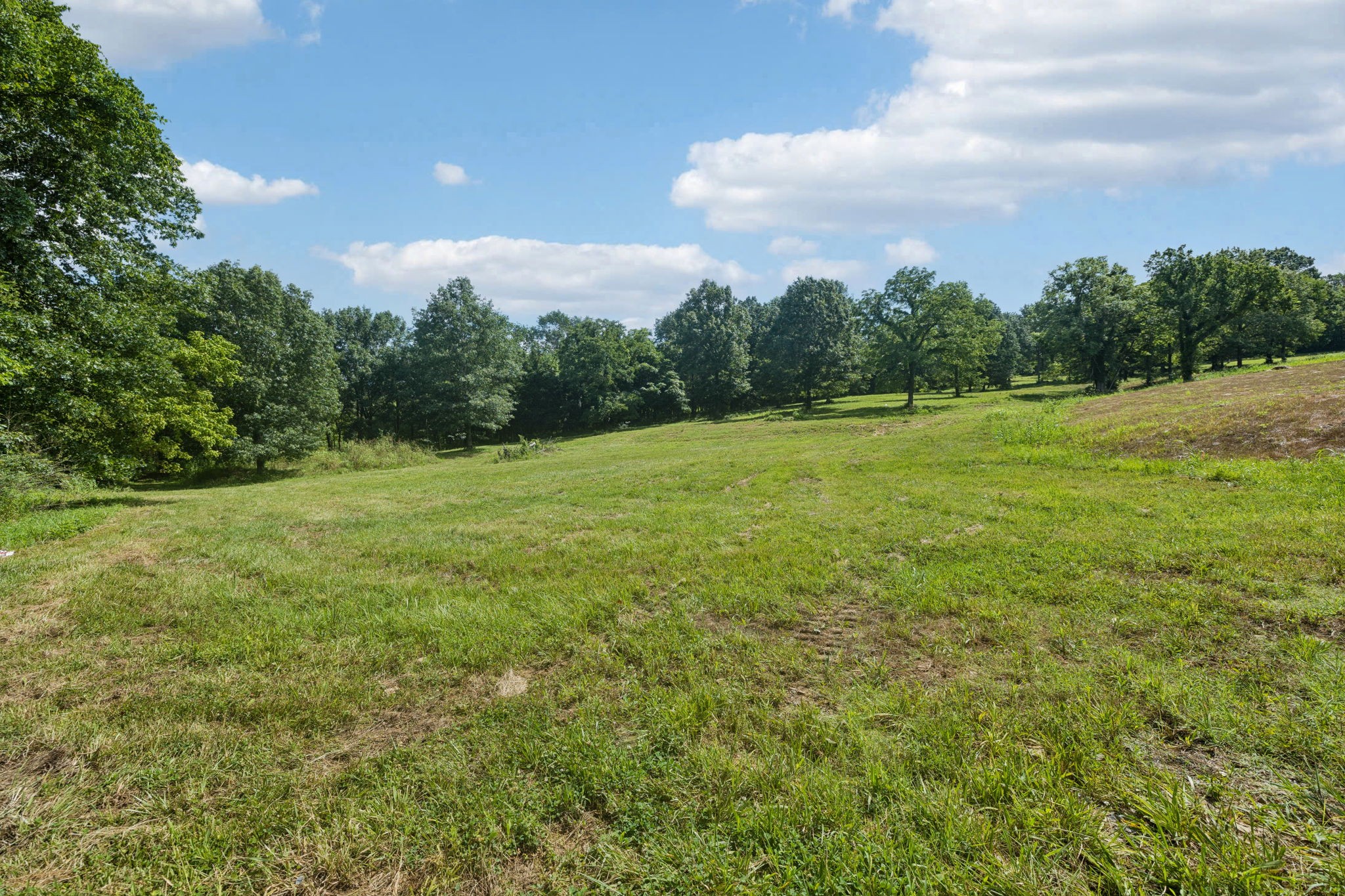 6456 Arno-College Grove Road College Grove, TN 37046 - Photo 3 of 39