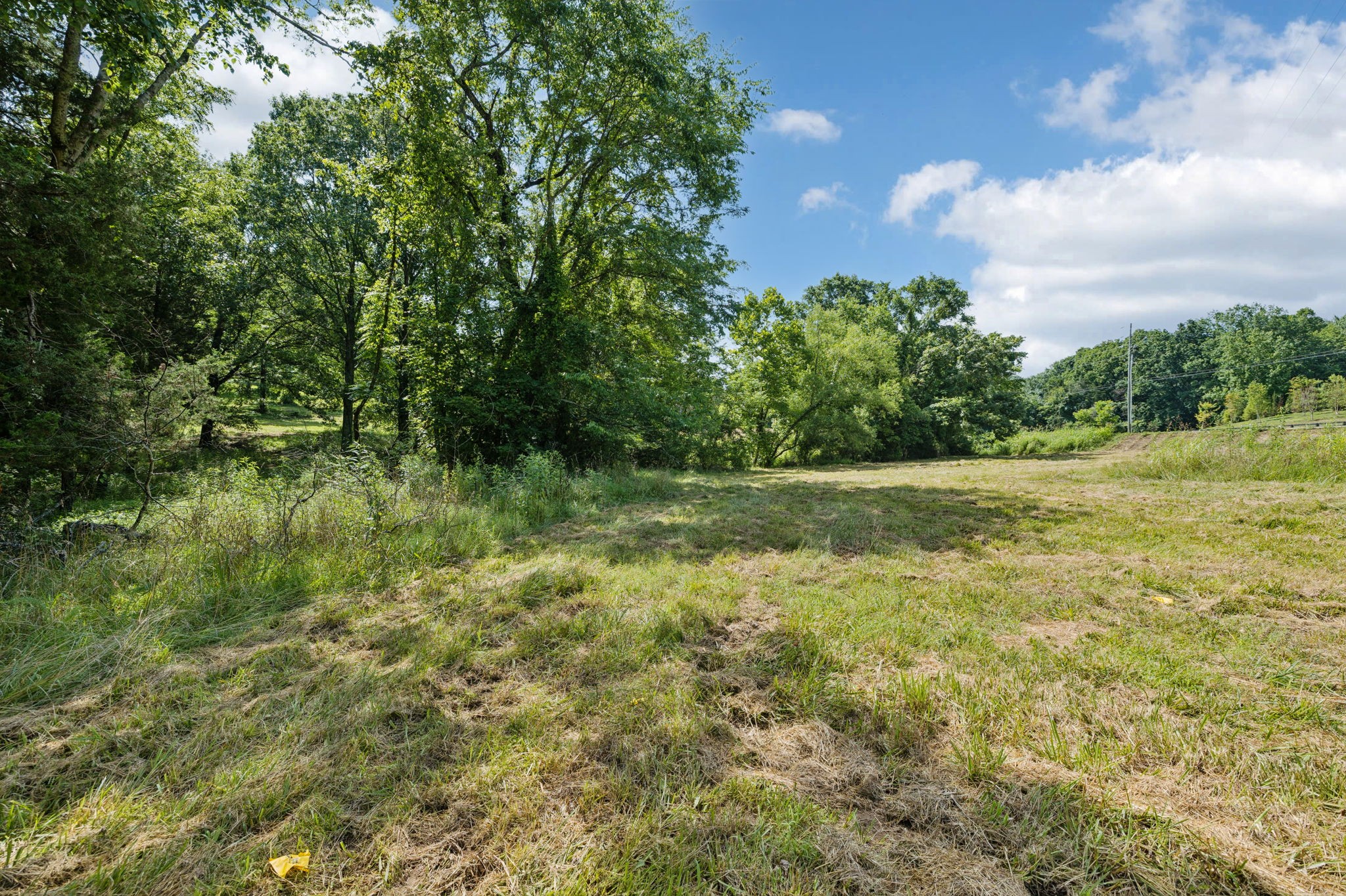 6456 Arno-College Grove Road College Grove, TN 37046 - Photo 8 of 39