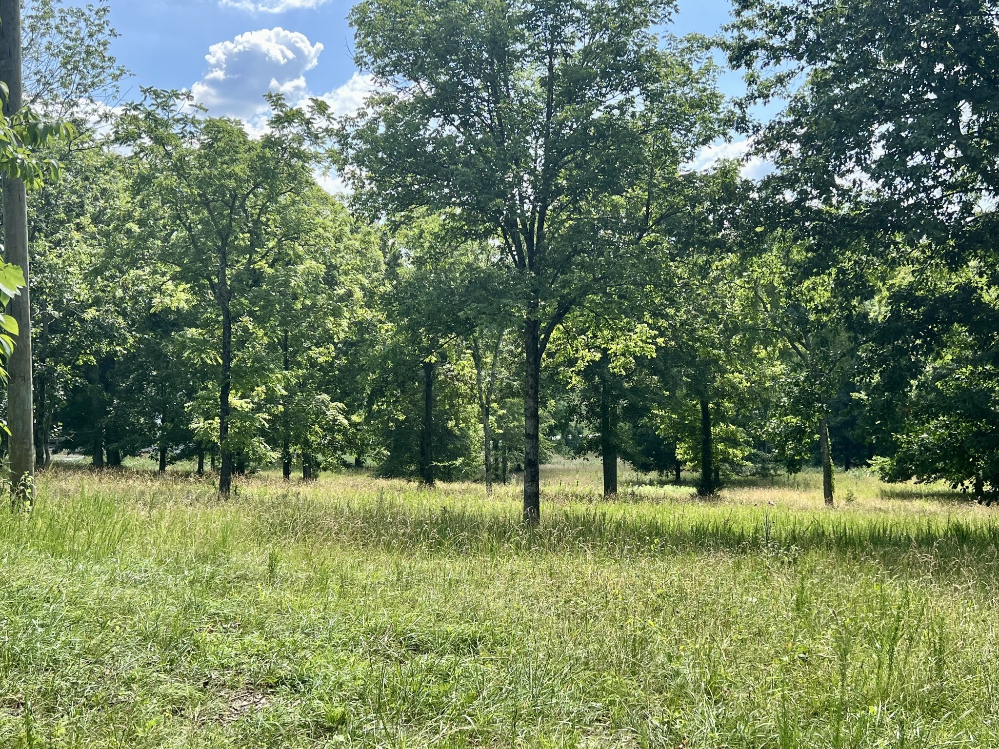 6456 Arno-College Grove Road College Grove, TN 37046 - Photo 9 of 39