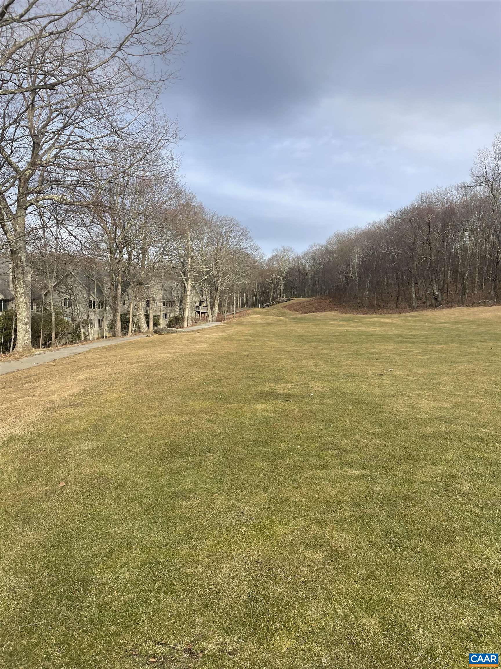 2225 Tanners Ridge Roseland, VA 22967 - Photo 22 of 26 a view of an ocean