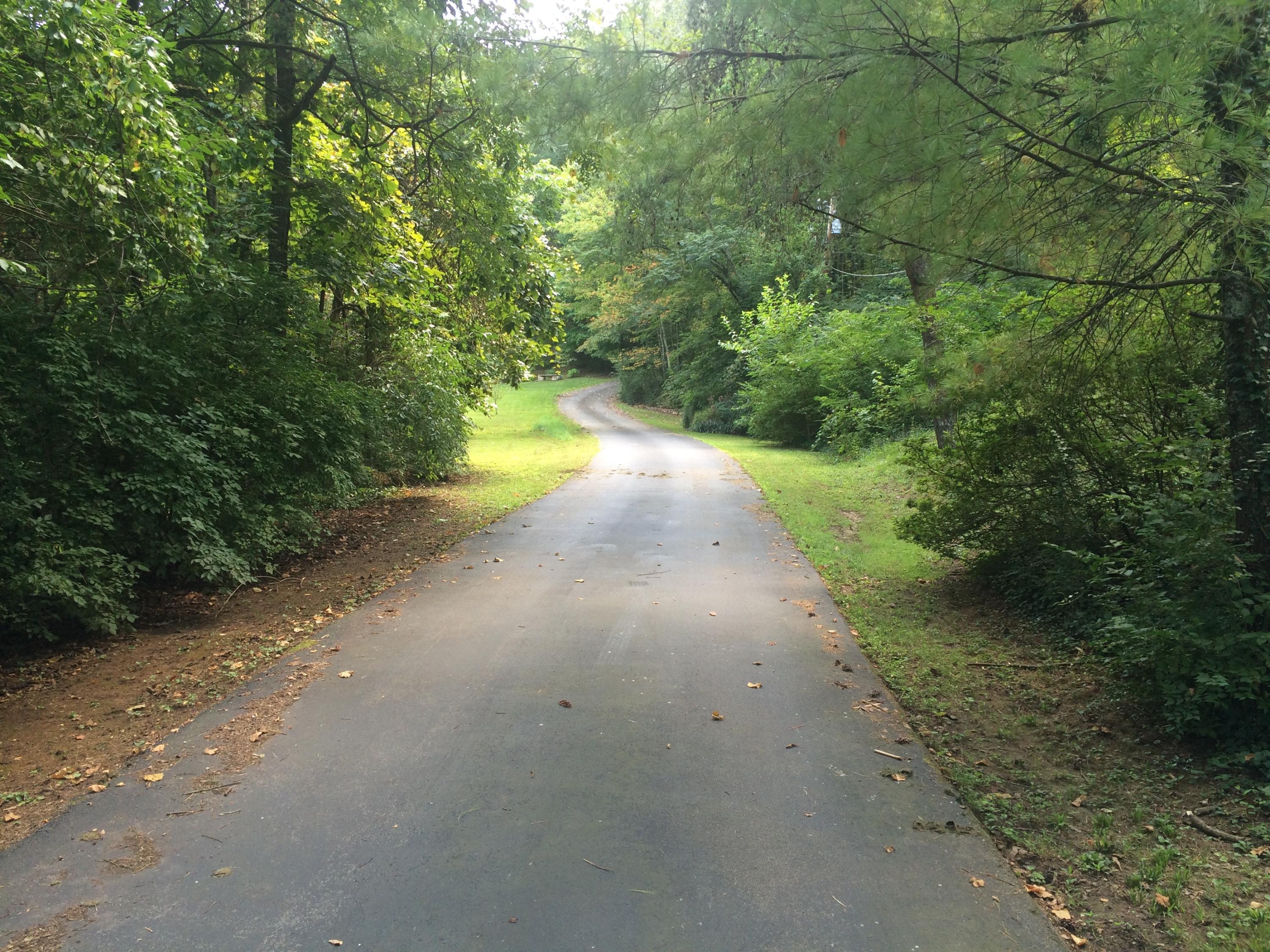 3650 Cherrylog Road Knoxville, TN 37921 - Photo 22 of 22 View of Street