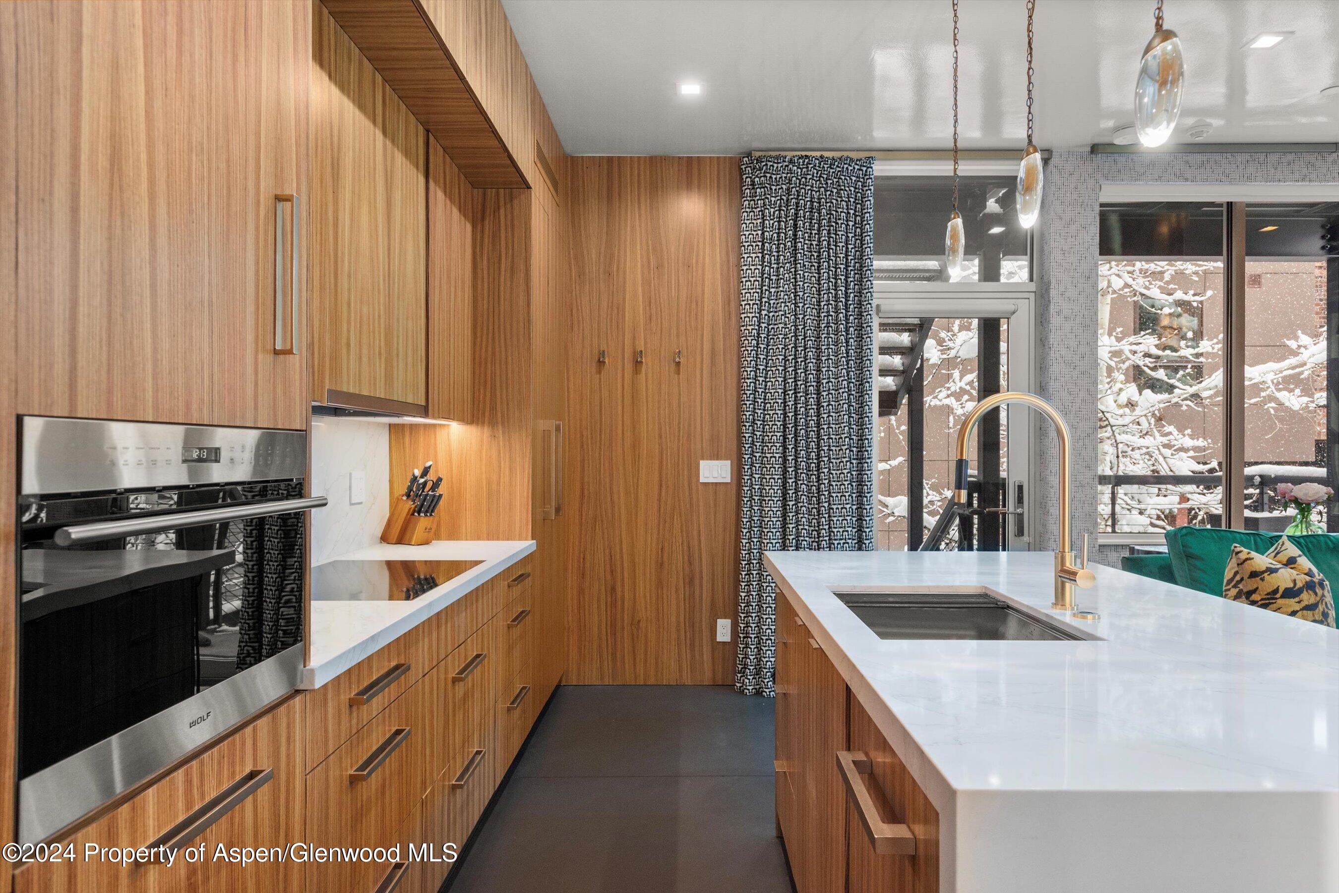 434 East Main Street, Unit 203 Aspen, CO 81611 - Photo 8 of 22 a kitchen with stainless steel appliances granite countertop a sink and a refrigerator