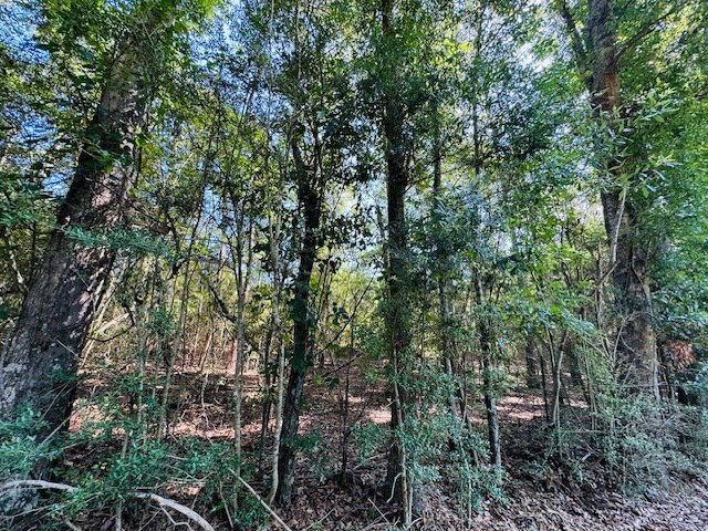 Tbd Tbd Ryans Road Tylertown, MS 39667 - Photo 2 of 11 Photo 2