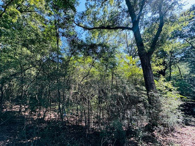 Tbd Tbd Ryans Road Tylertown, MS 39667 - Photo 3 of 11 Photo 3