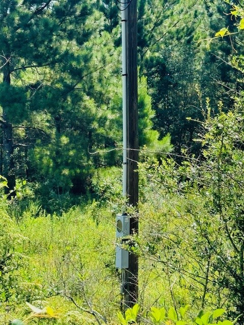 Tbd Tbd Ryans Road Tylertown, MS 39667 - Photo 5 of 11 Photo 5