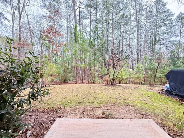 a view of a yard with plants and trees