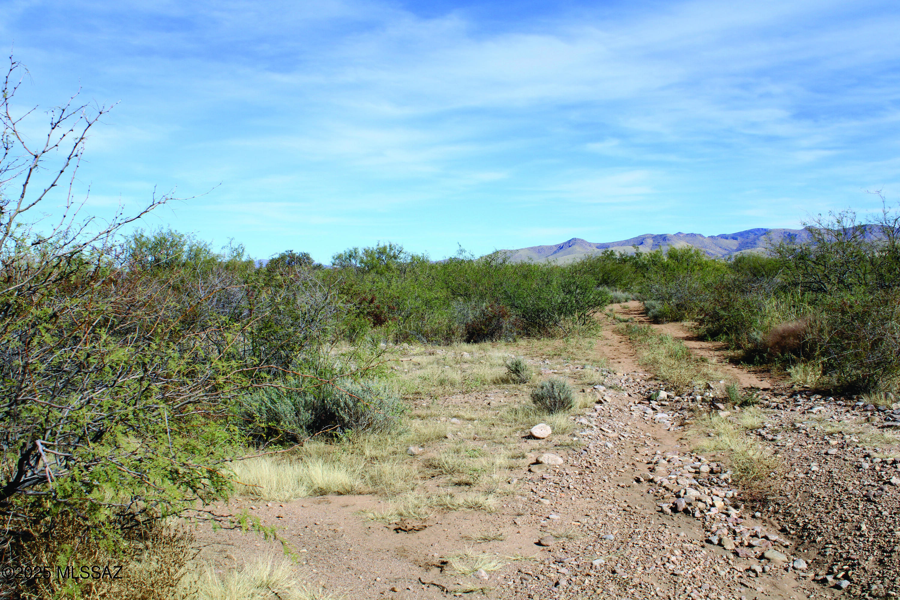 10-acres East Roadrunner Road, Unit D Pearce, AZ 85625 - Photo 10 of 24 a view of a dry yard with mountains in the background