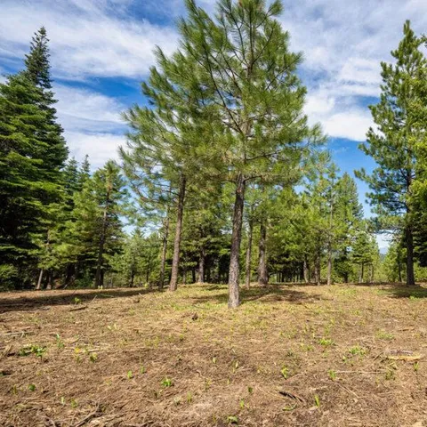 $1,200,000 | Lot 3 To Be Determined, Unit 3, McCall, ID 83638