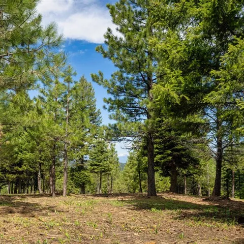 $1,200,000 | Lot 3 To Be Determined, Unit 3, McCall, ID 83638