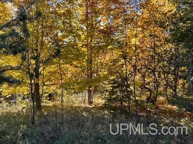 48649 Larson Road Atlantic Mine, MI 49905 - Photo 25 of 47 Gallery Image 25
