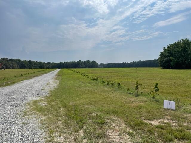 508 High Plains Ridgeville, SC 29472 - Photo 3 of 8 IMG_1627