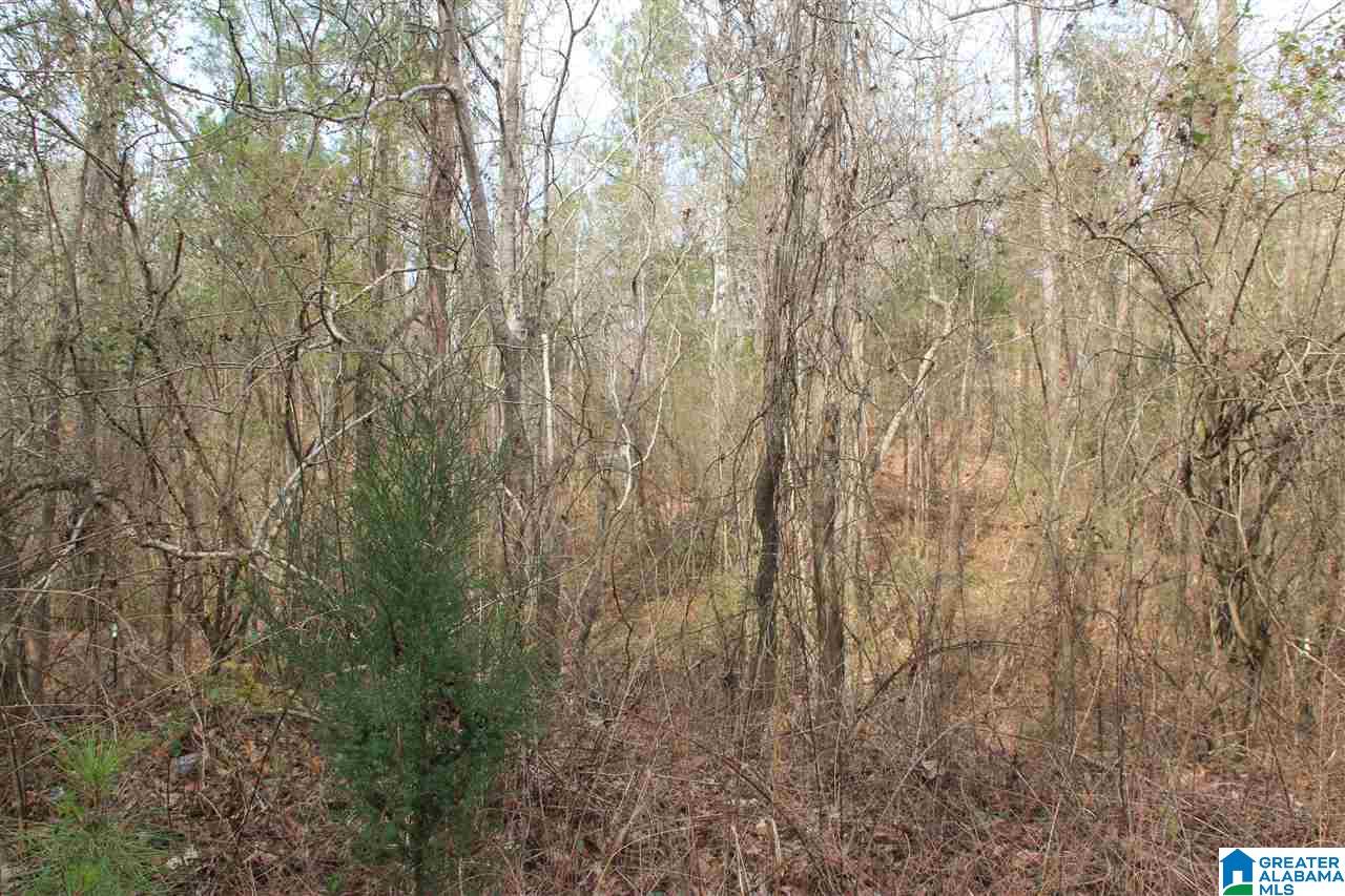 Crestview Road, Unit 80 Trussville, AL 35173 - Photo 2 of 9