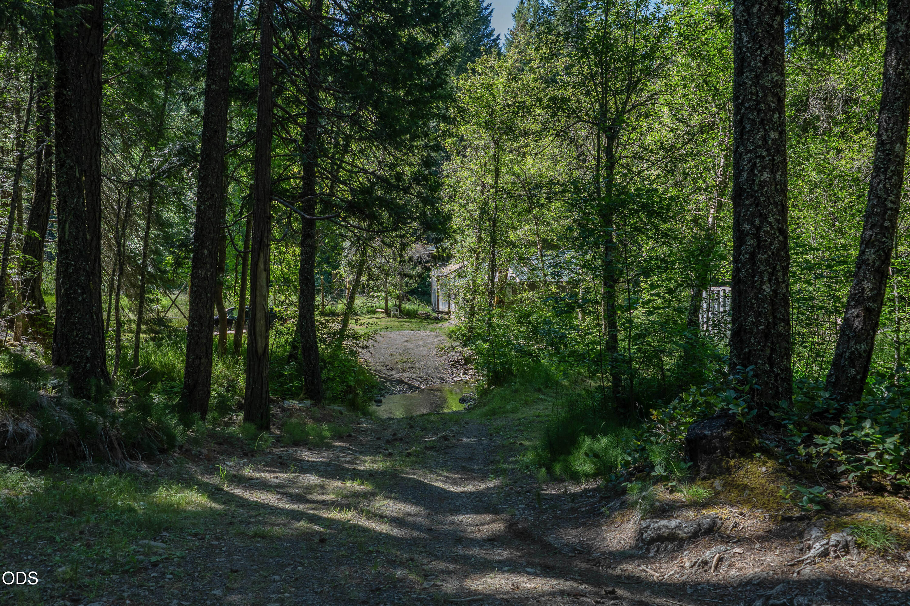 8245 Jumpoff Joe Creek Road Grants Pass, OR 97526 - Photo 37 of 43 a view of a forest with trees in the background