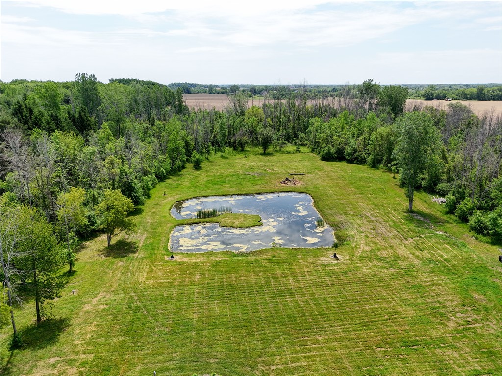 507 Moscow Road Hamlin, NY 14464 - Photo 10 of 49
