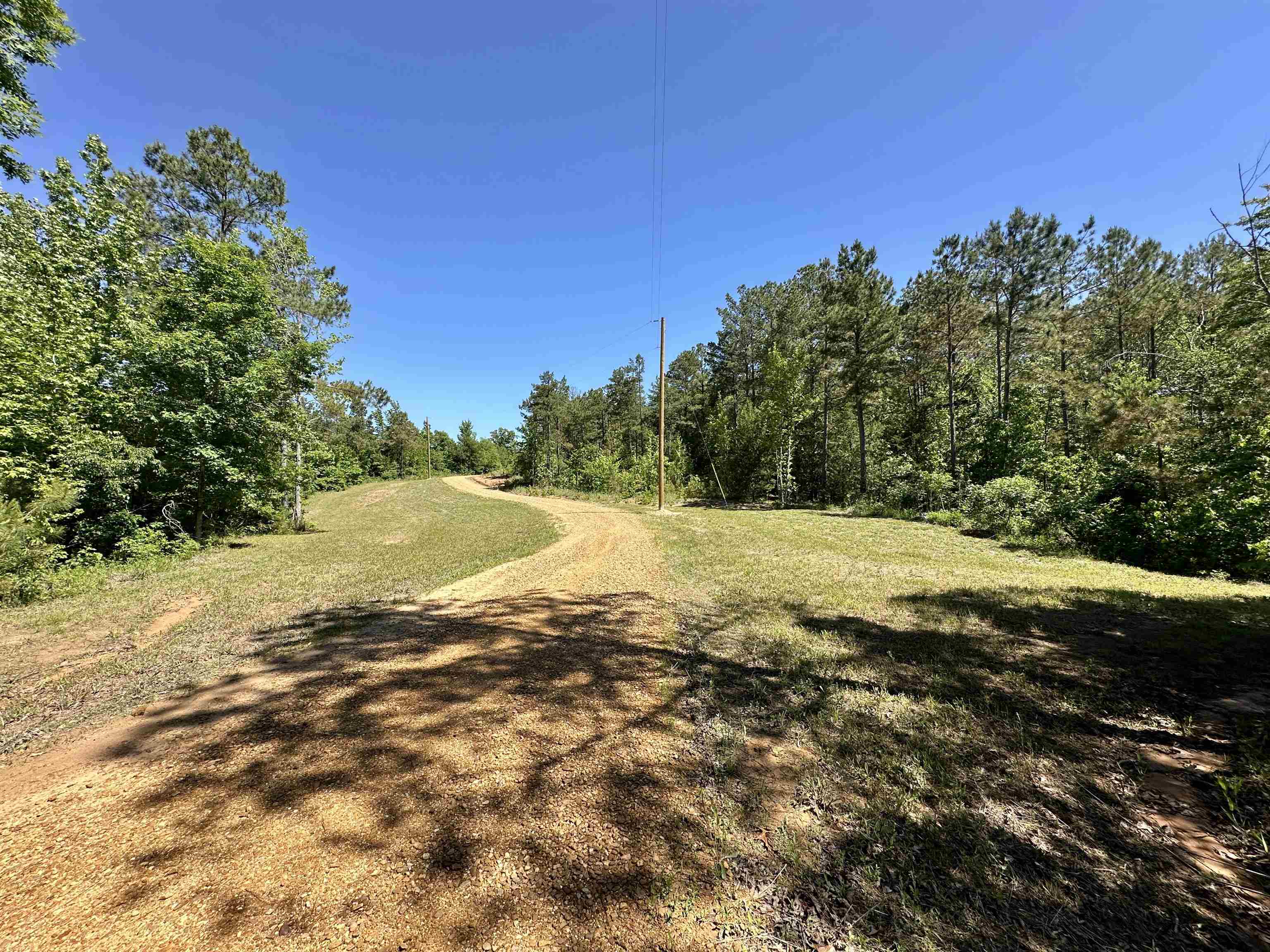 1137 Arl Bailey Road Finger, TN 38334 - Photo 37 of 40 Gravel drive with a gentle curve, bordered by manicured grass and mature trees