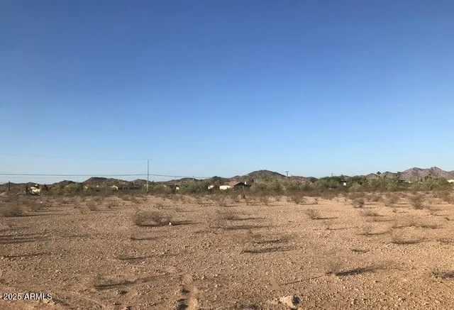 a view of a dry field with trees in background