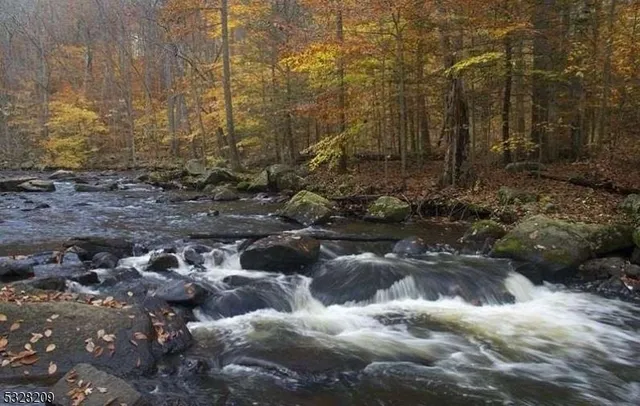 a view of lot of trees with yard
