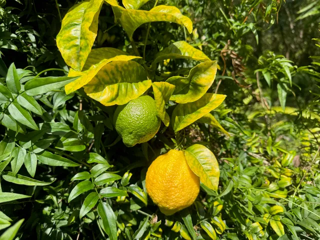 a view of a swimming pool