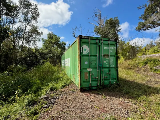 a green field with lots of tall trees