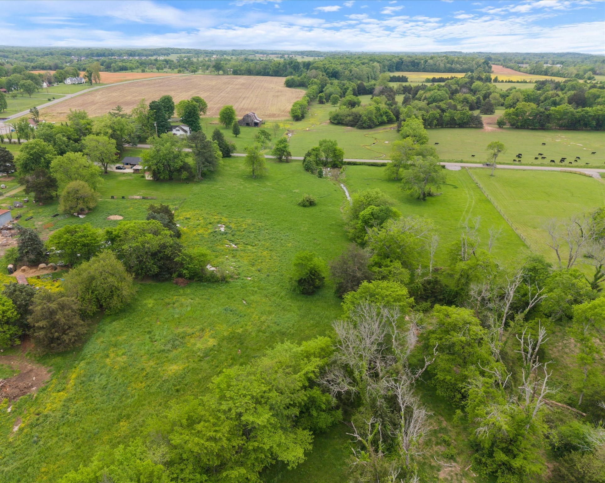 0 Midland Fosterville Road Bell Buckle, TN 37020 - Photo 7 of 7 a view of a green field with an ocean view