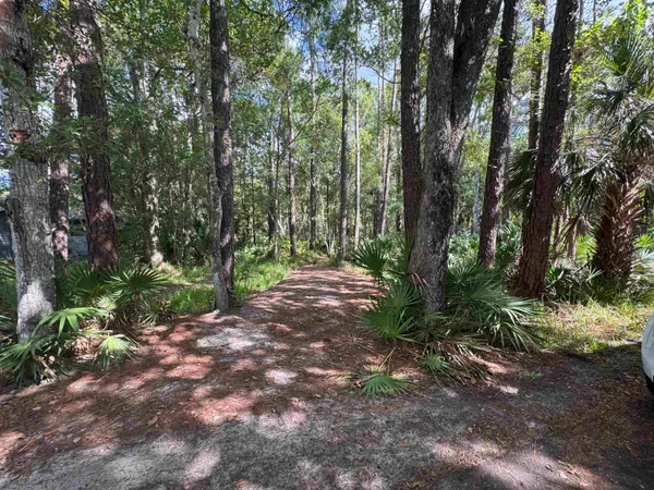 a view of outdoor space and trees