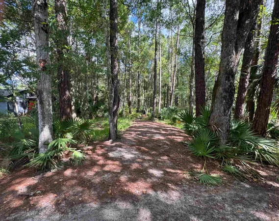 a view of outdoor space and trees