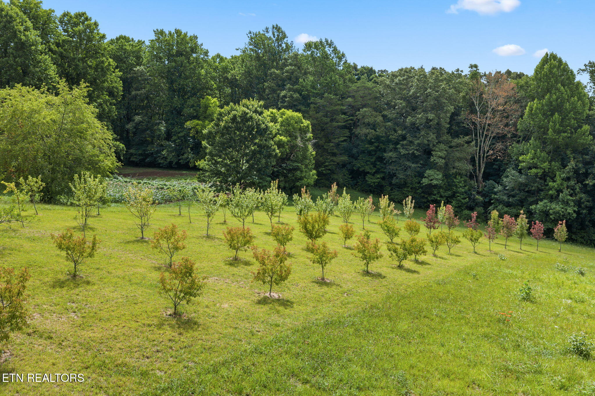 260 Long Hollow Road Clinton, TN 37716 - Photo 11 of 47 11-web-or-mls-620 Long Hollow-053