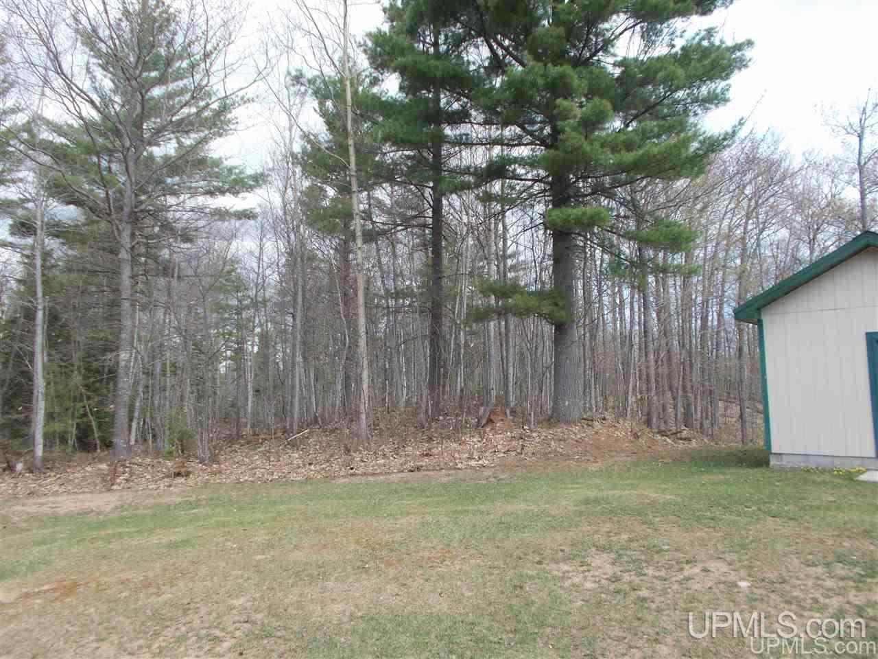 80-acres Triple A Road Ishpeming, MI 49849 - Photo 6 of 28
