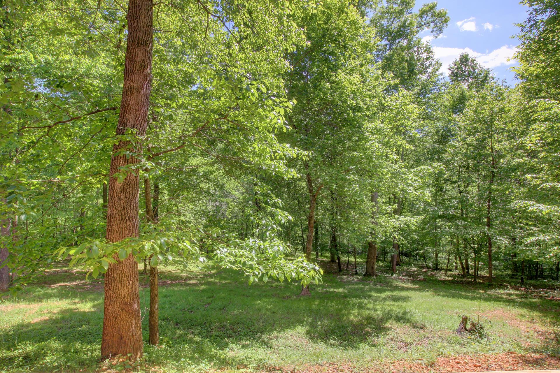3270 Luther Ragan Road Palmyra, TN 37142 - Photo 24 of 24 Gallery Image 24