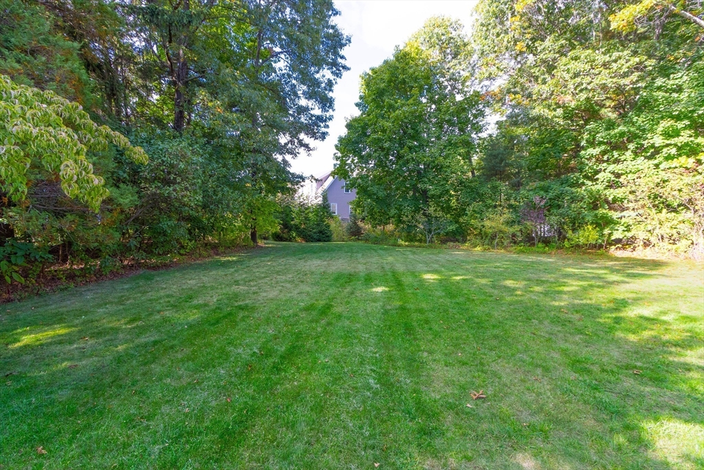 6 Cole Road Wayland, MA 01778 - Photo 30 of 31 Gallery Image 30