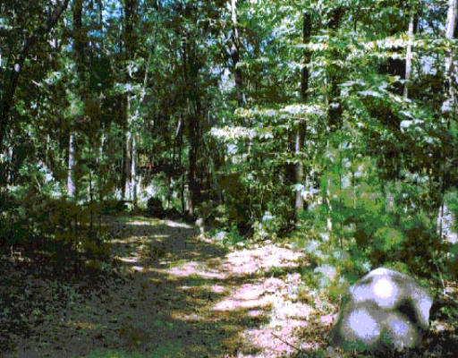Lot 6 Adams Road Boxford, MA 01921 - Photo 1 of 1 a view of outdoor space with green space