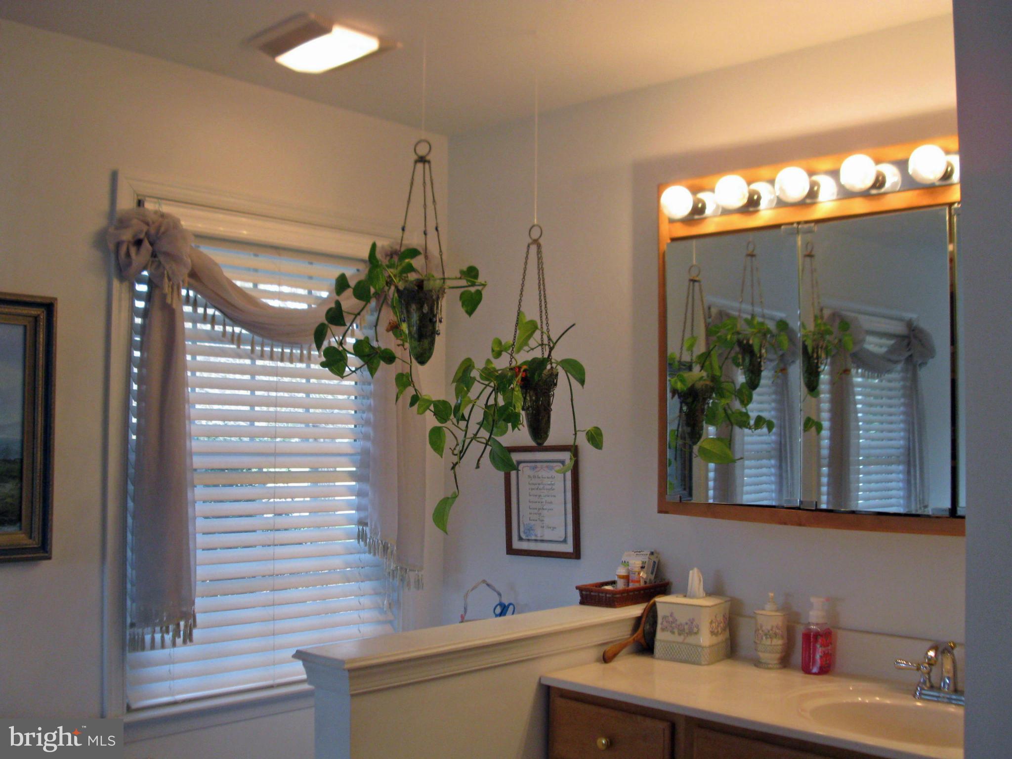 11979 Homestead View Road Worton, MD 21678 - Photo 17 of 30 Bath (Master)
