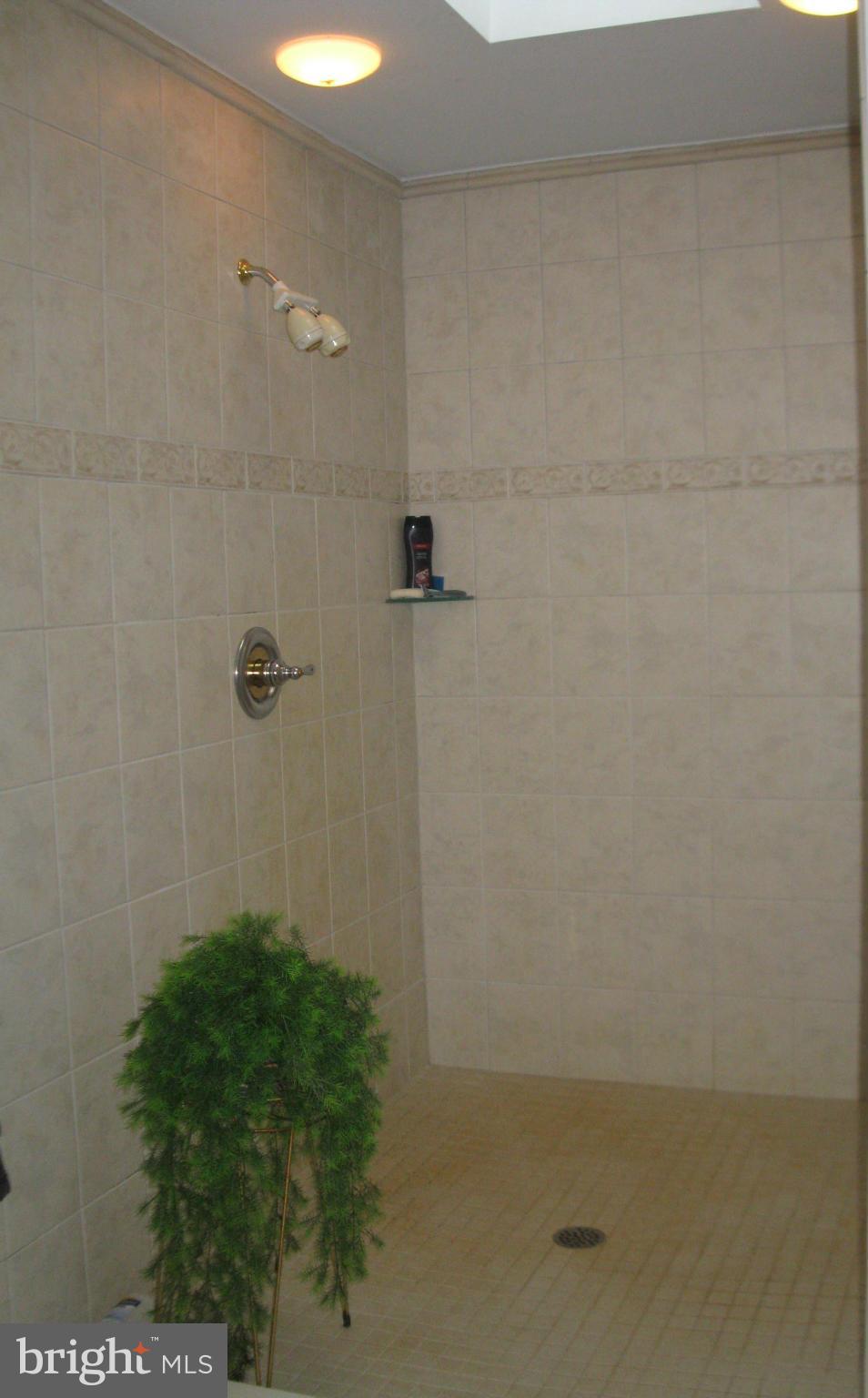 11979 Homestead View Road Worton, MD 21678 - Photo 19 of 30 Bath (Master)