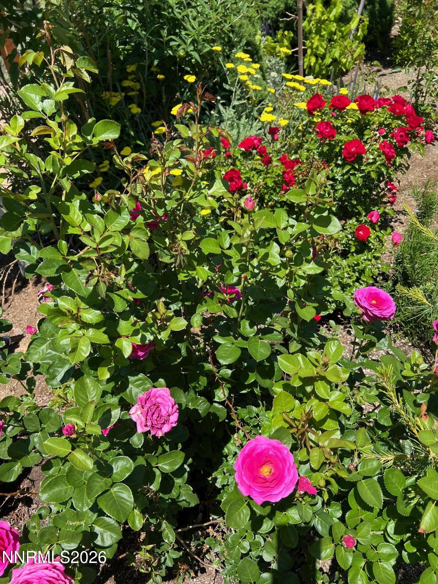 7707 Rhythm Circle Sparks, NV 89436 - Photo 25 of 30