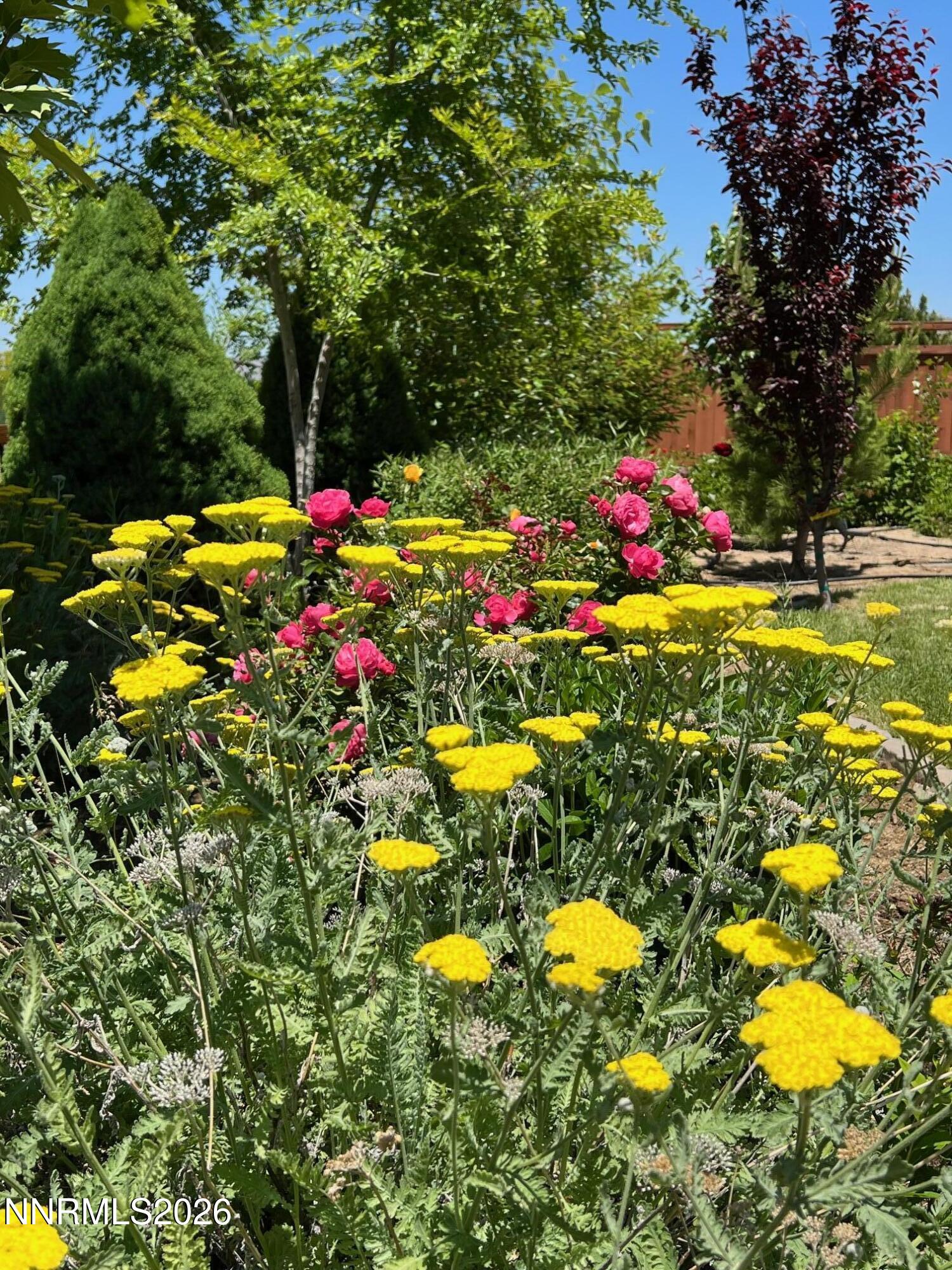 7707 Rhythm Circle Sparks, NV 89436 - Photo 27 of 30 a view of an outdoor space