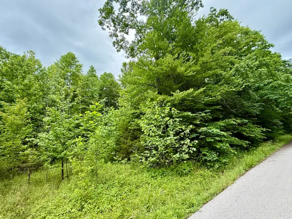 $99,000 | 1350 Owens Branch Road, Dunnville, KY 42528