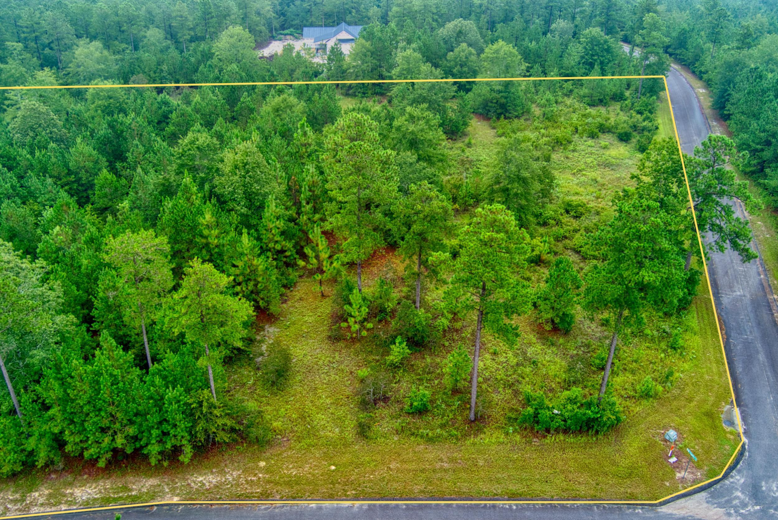 Lot 5 Cooks Pond Road Windsor, SC 29856 - Photo 5 of 23