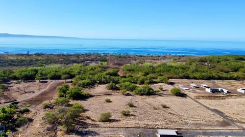 a view of a large tree with snow on the background