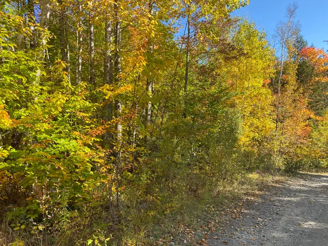 $99,550 | Lot 12 Hillside Drive, Kingfield, ME 04947